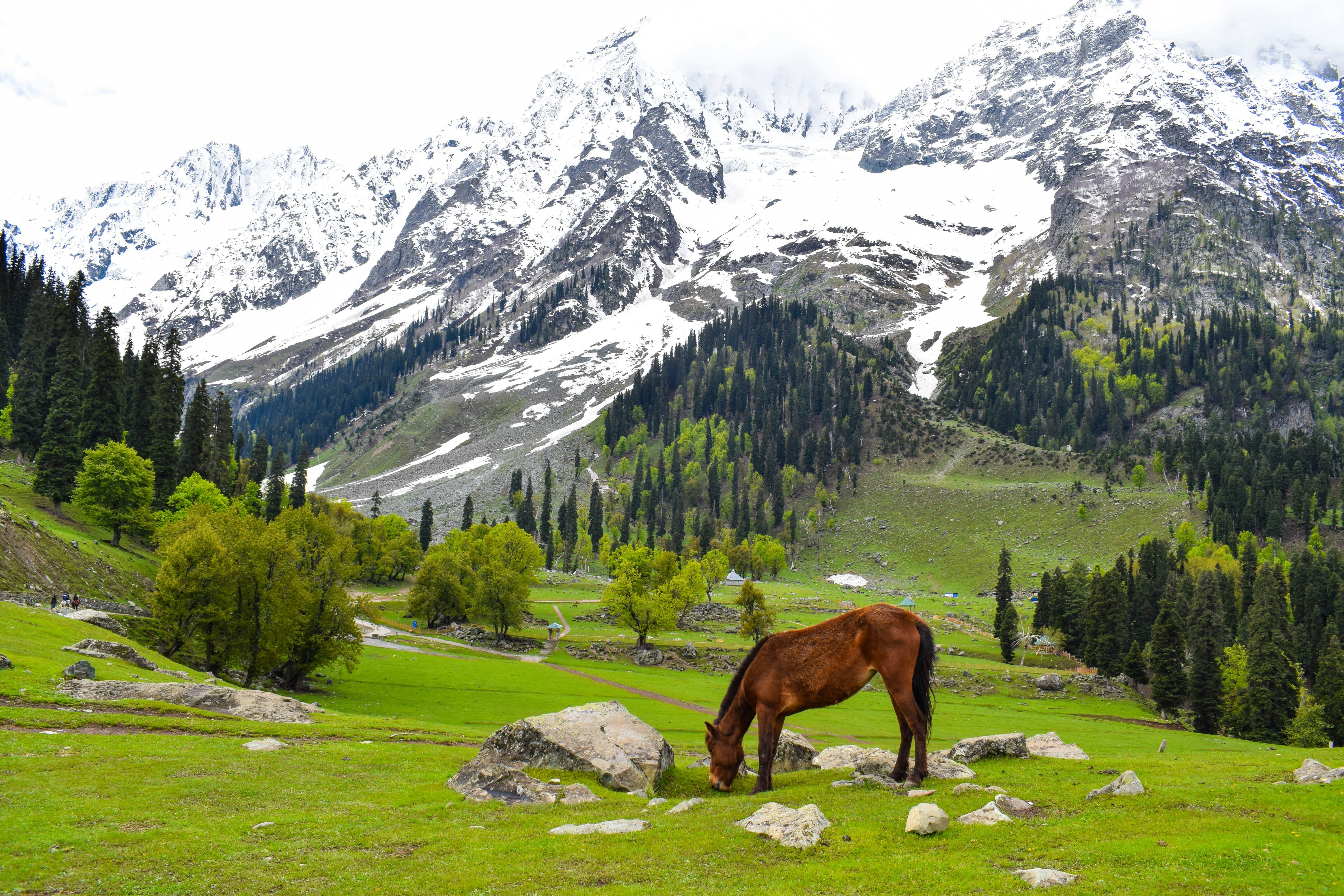 Wonders of Kashmir Tour Package - Discover Lakes & Peaks