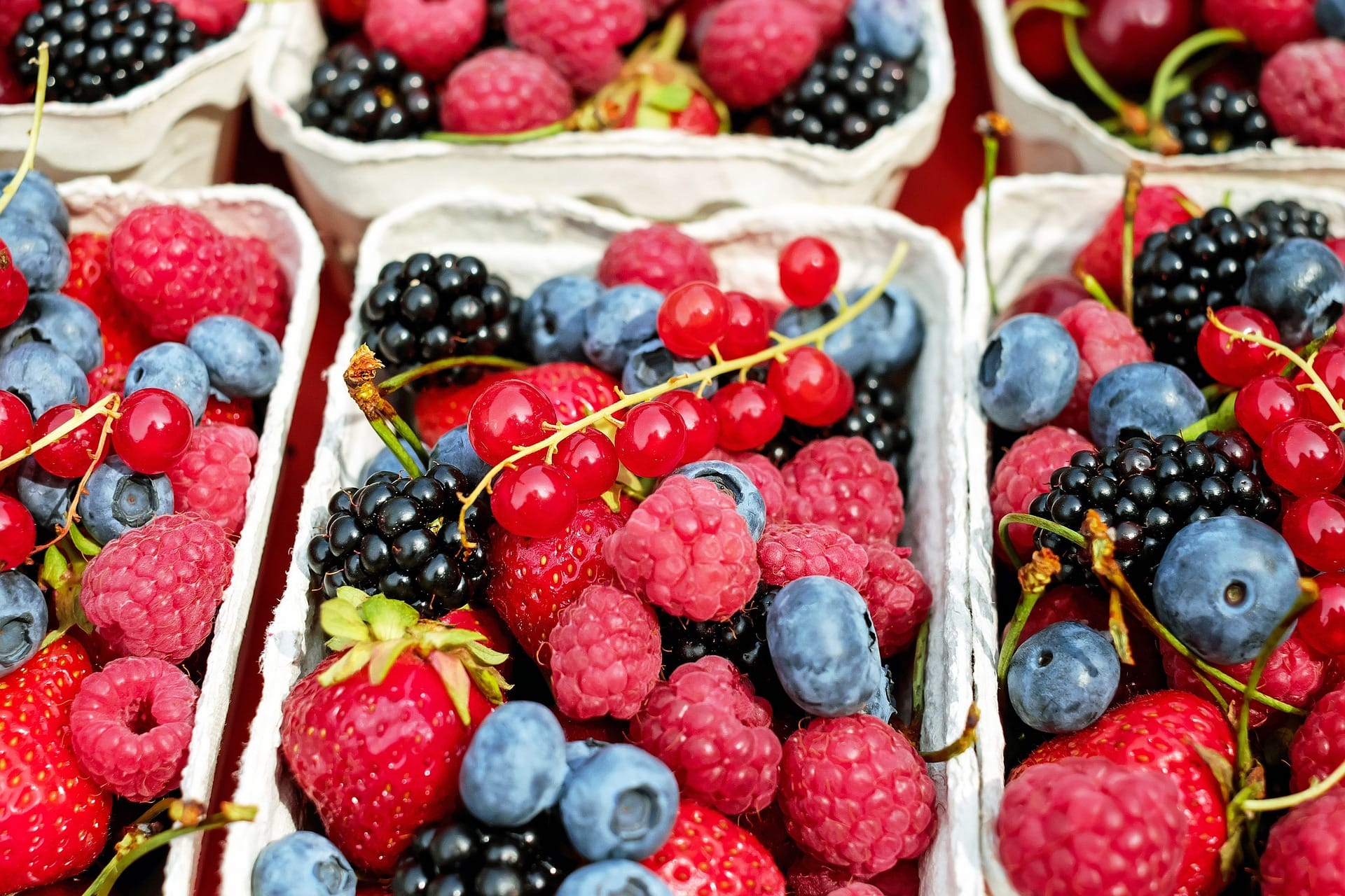 Centenary Farmers' Market