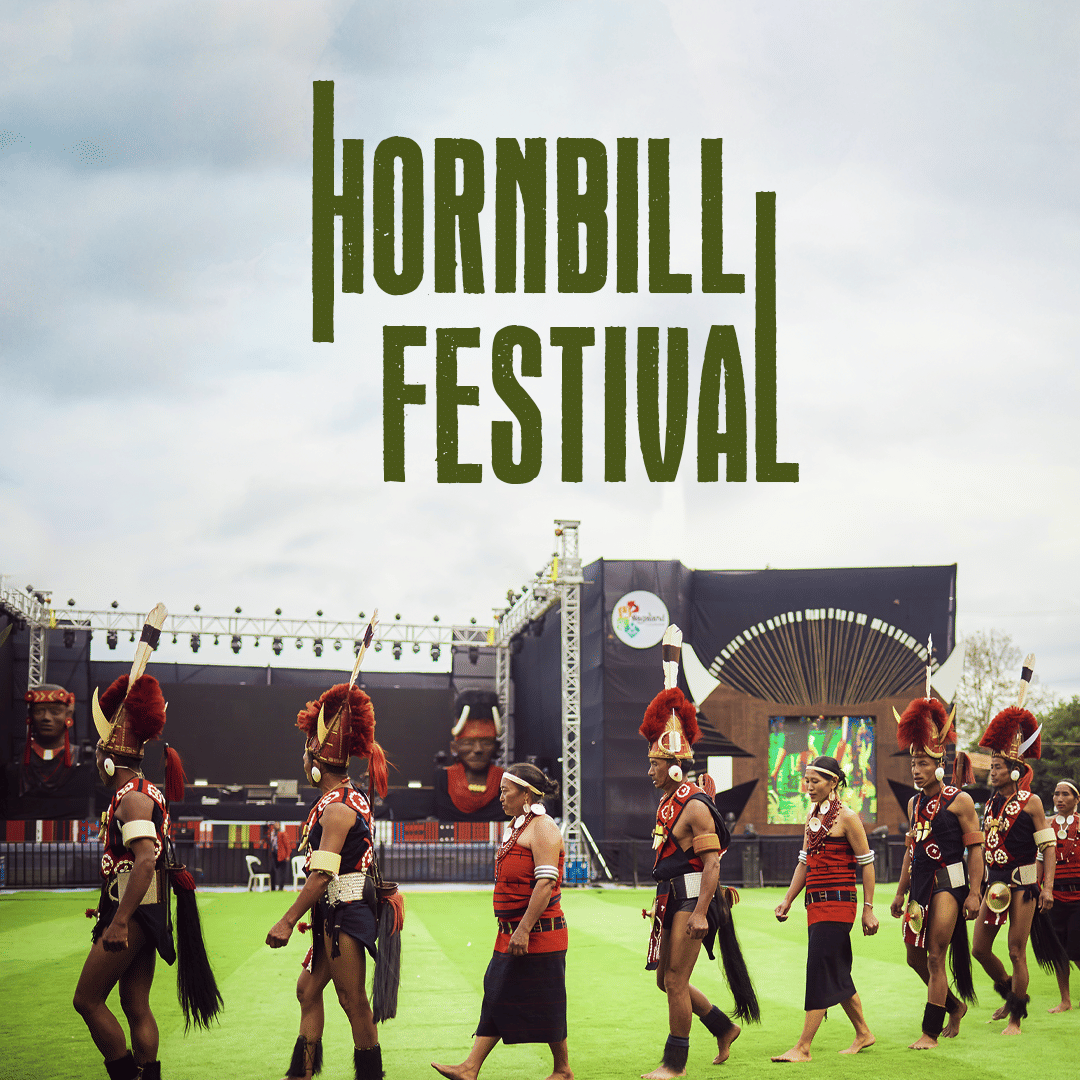 ziro-festival