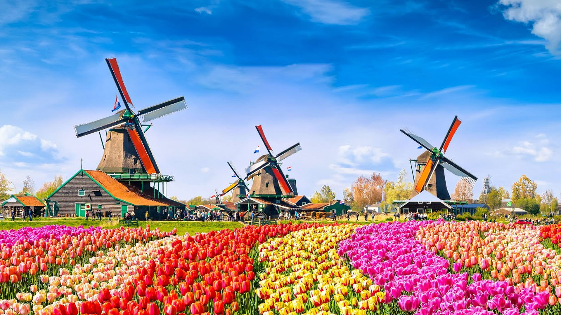 13-Day Splendid Europe Tour