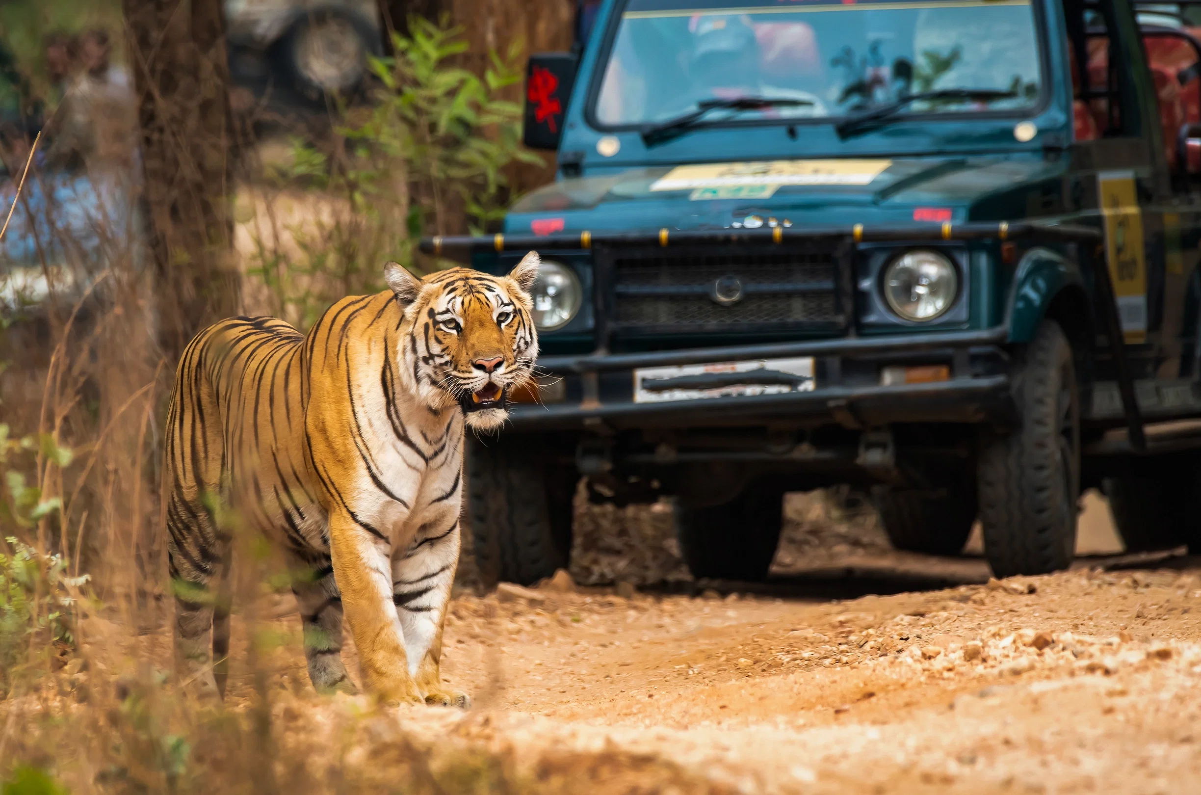 8 Days Golden Triangle with Ranthambore National Park Safari
