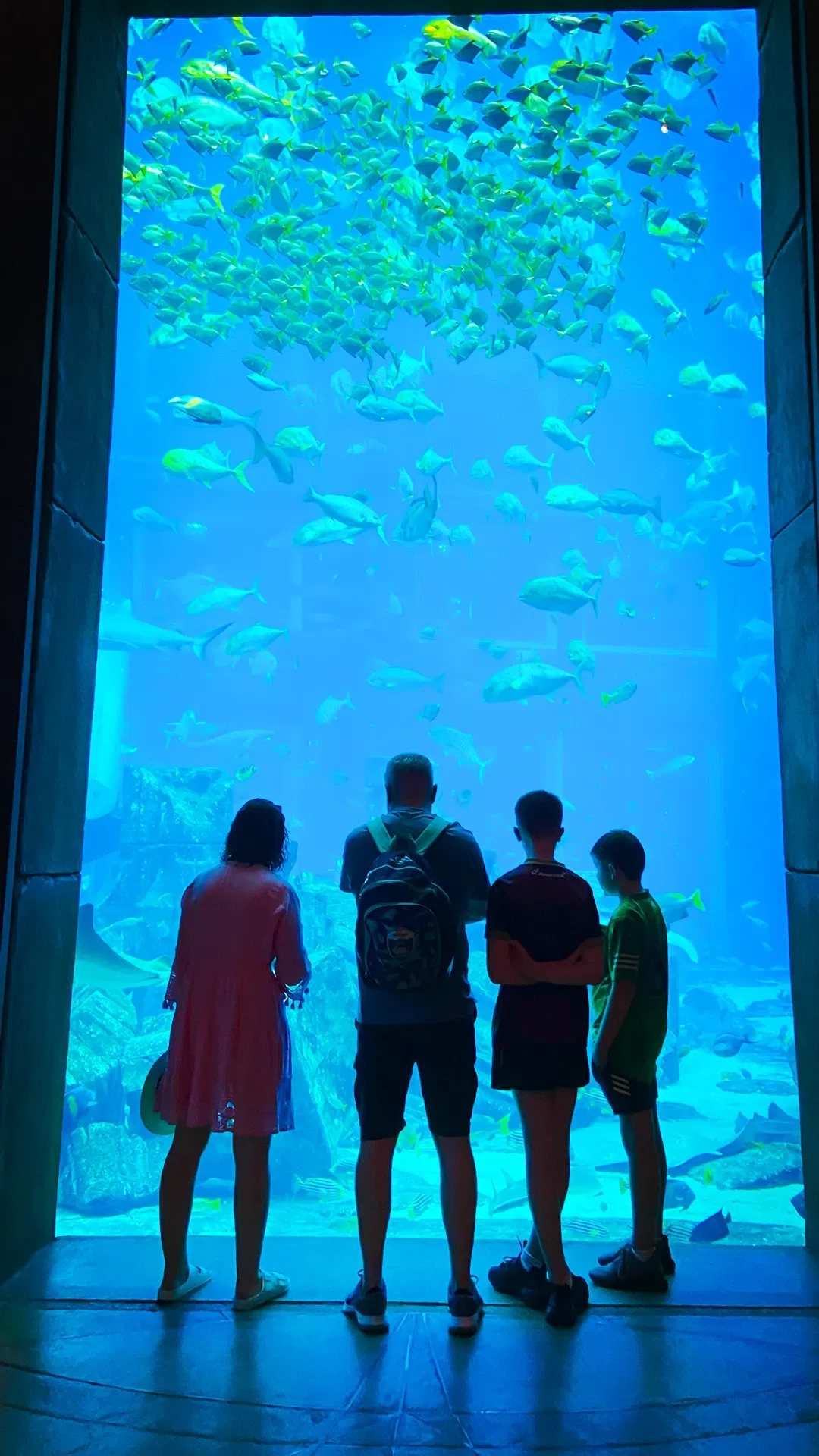 Neha & Kunal, Indore