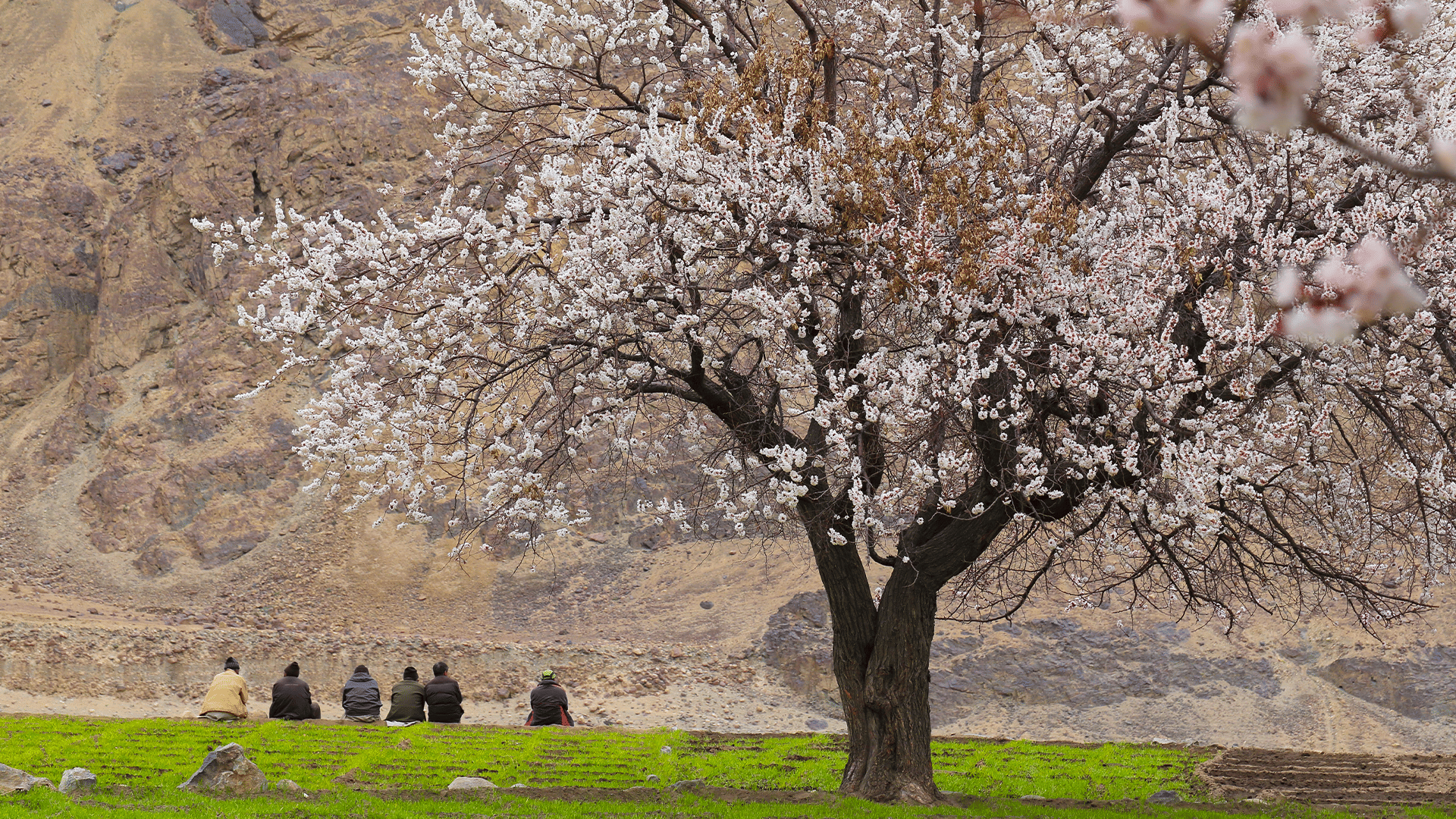 8D Offbeat Leh Ladakh Trip: Aryan Valley with Nubra & Pangong