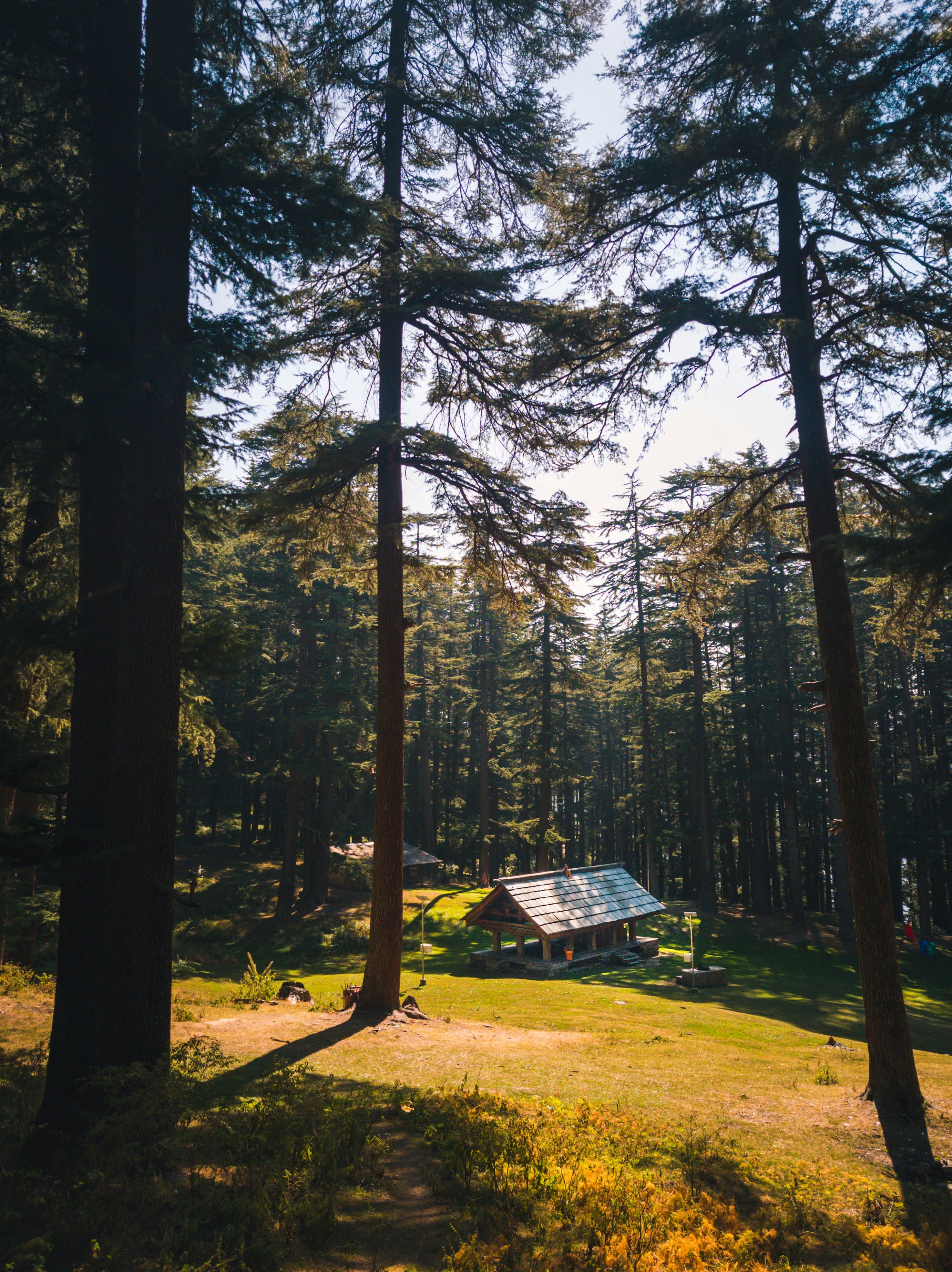 5 Days Jibhi Manali Kasol Getaway: Exploring the Best of Himachal
