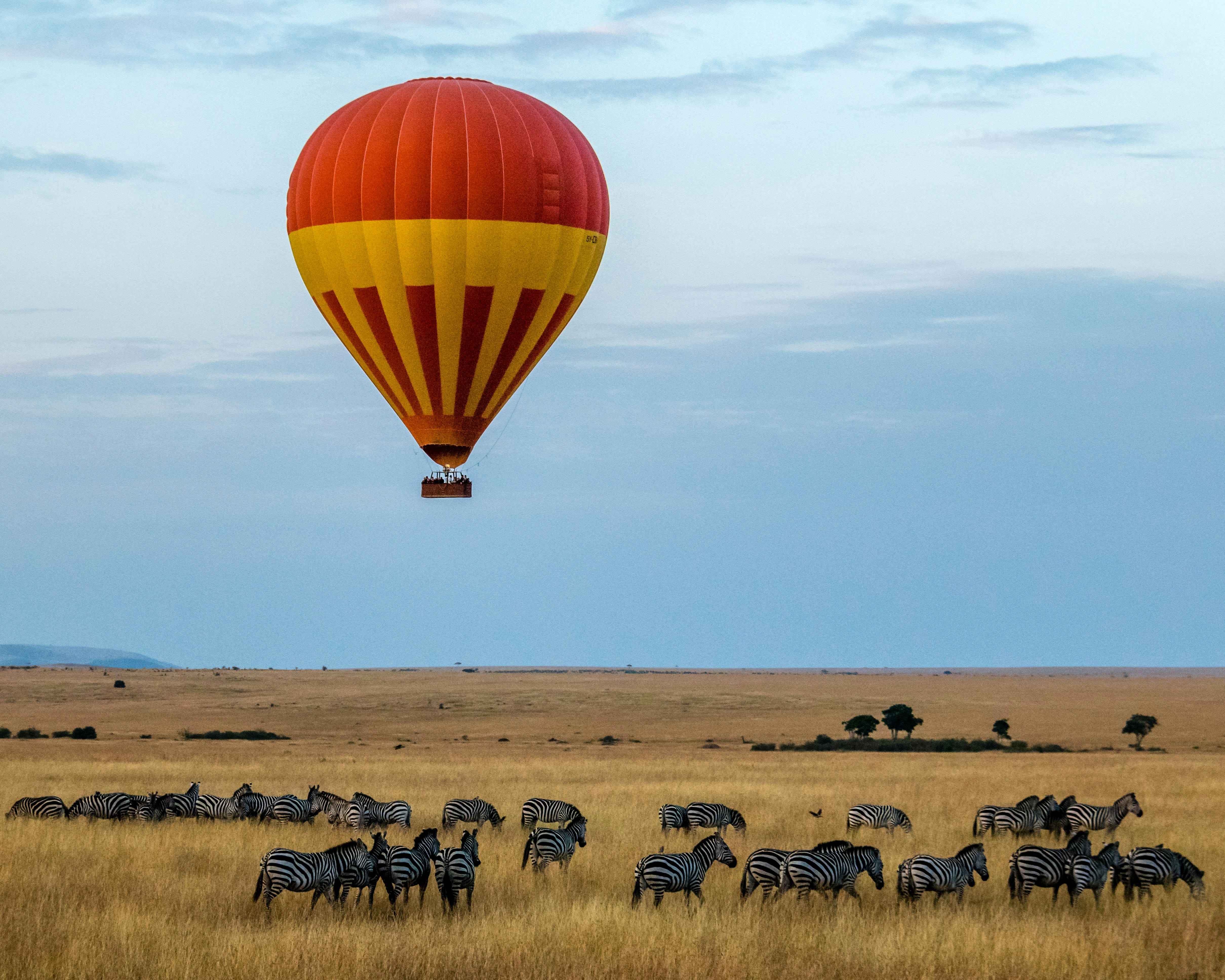 6 Days Group Trip To Kenya’s Wild Heart: Masai Safari & Game Drives