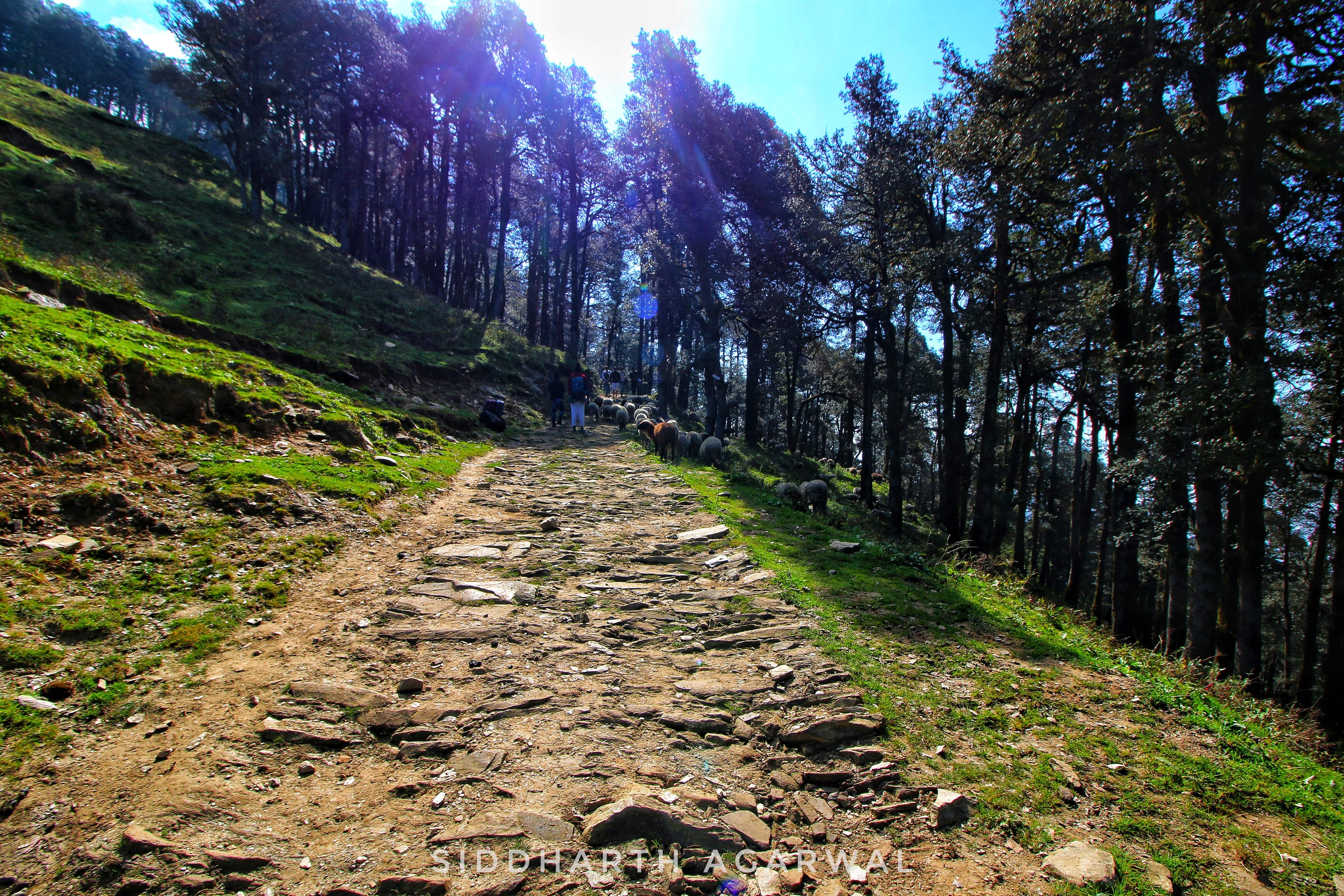 blog-images
