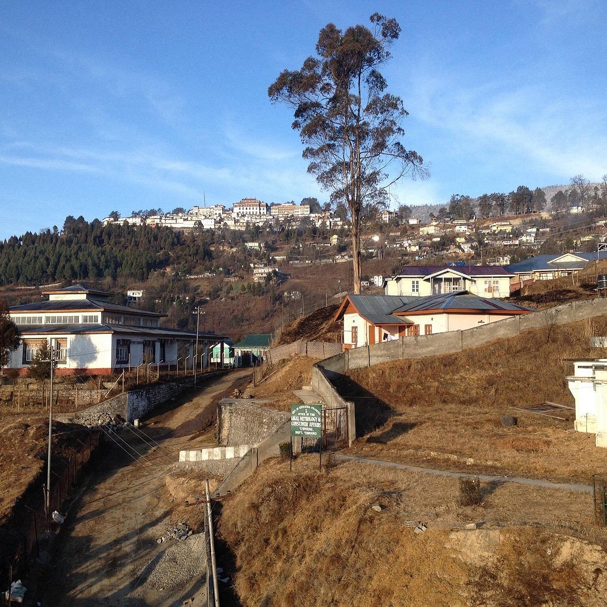 blog-images