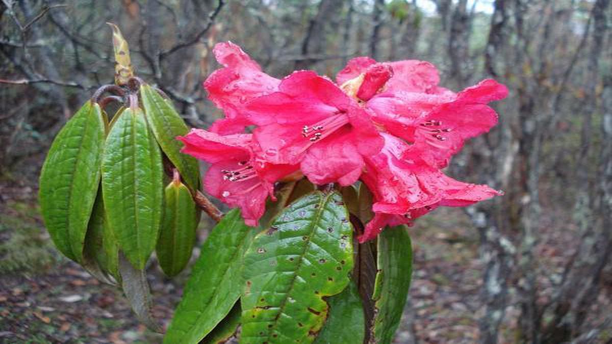 blog-images