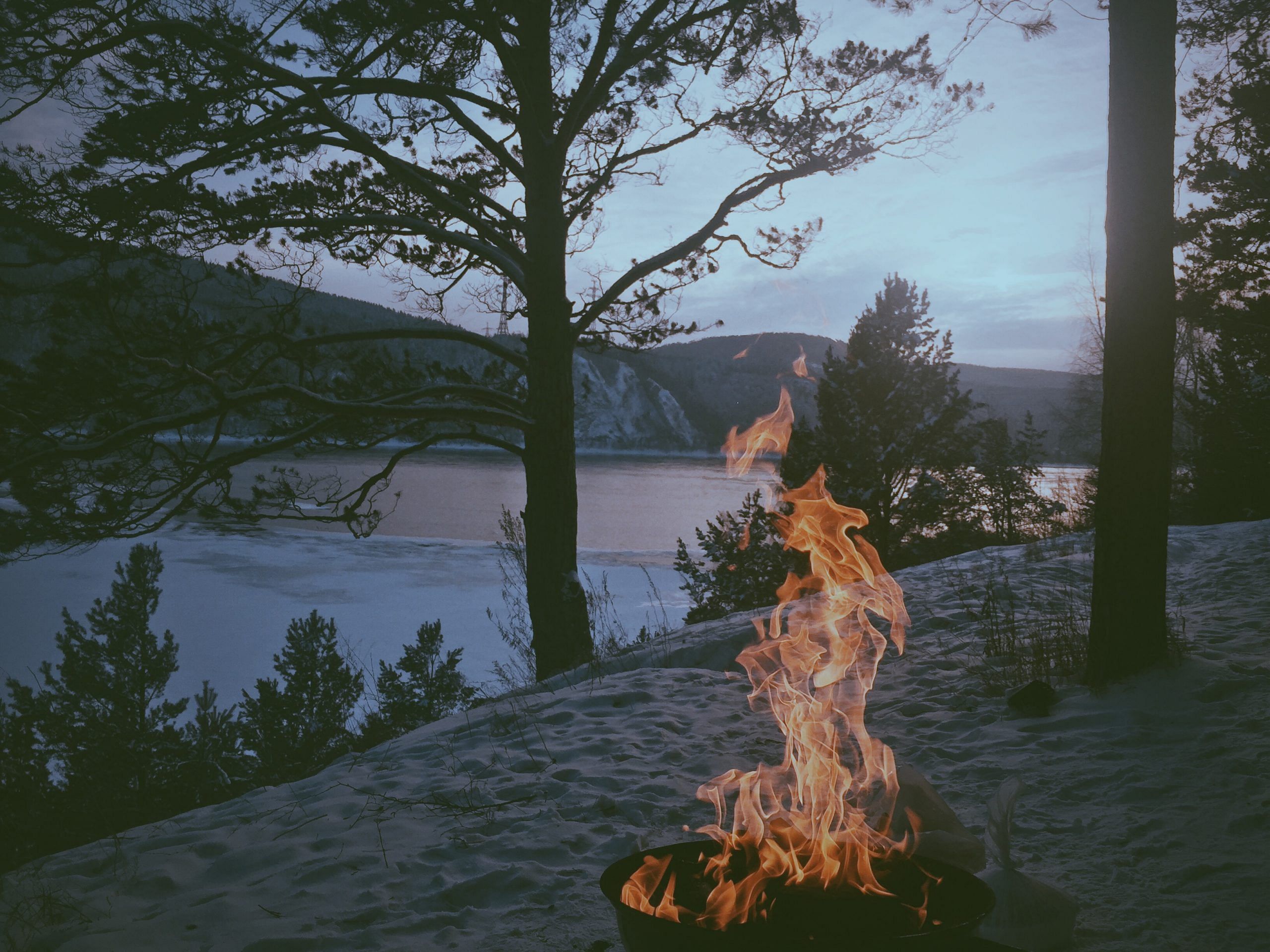 blog-images
