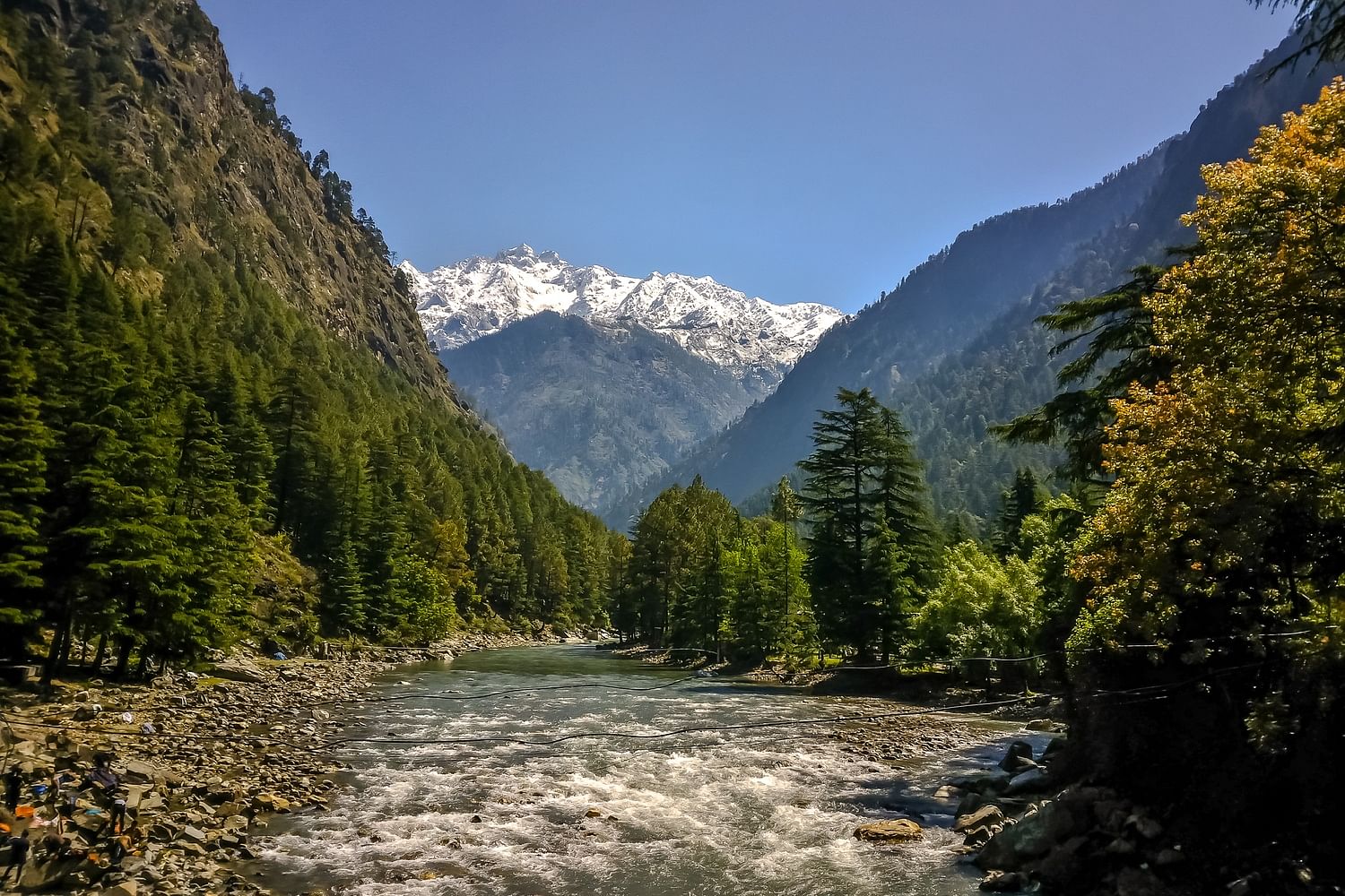 blog-images
