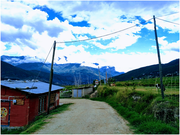 blog-images