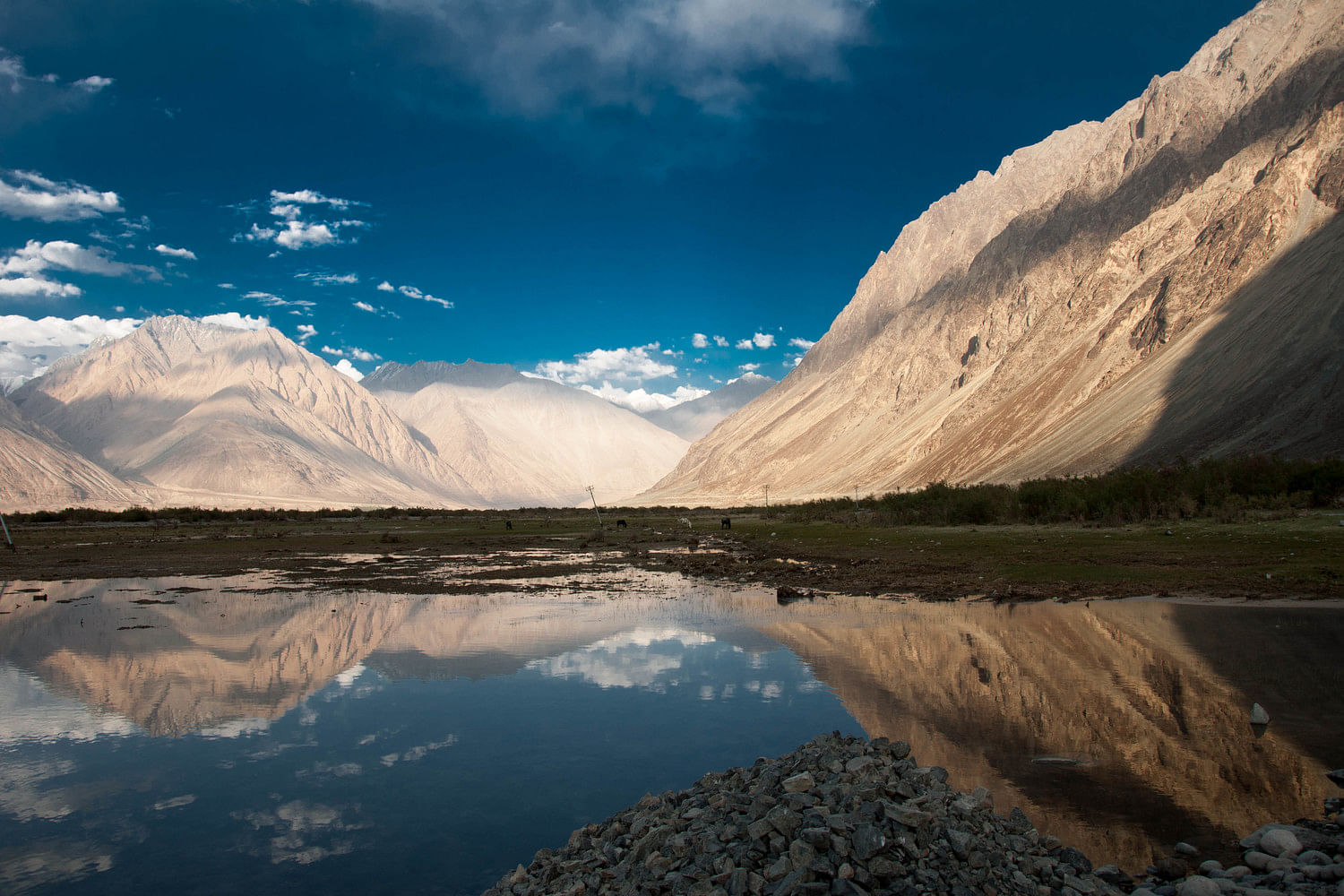 blog-images