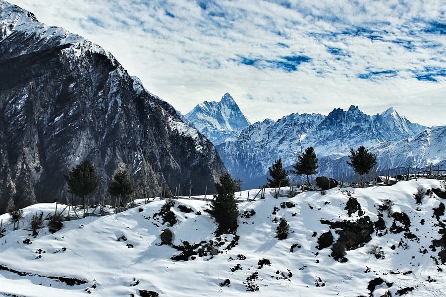 blog-images