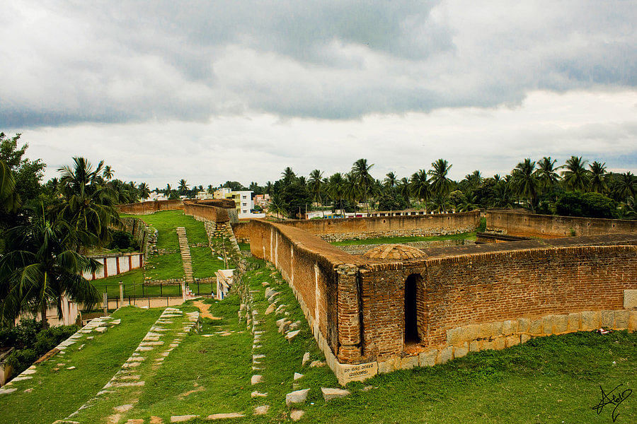 blog-images