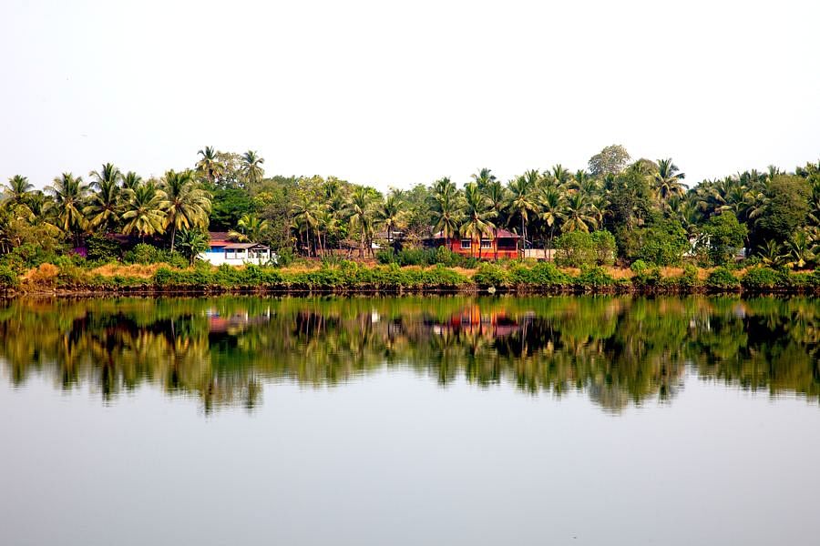 blog-images
