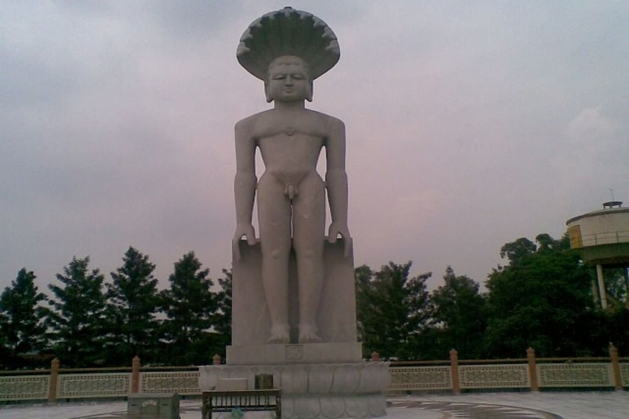 blog-images