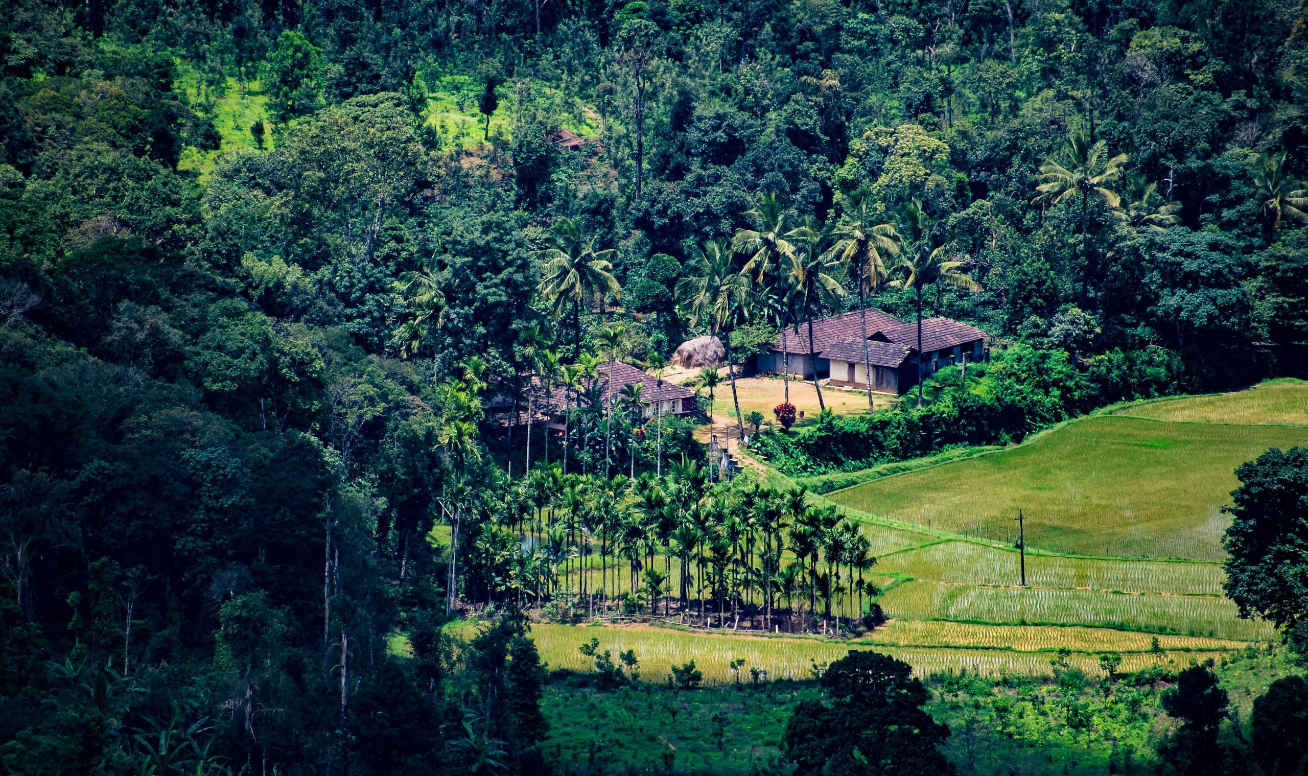 blog-images