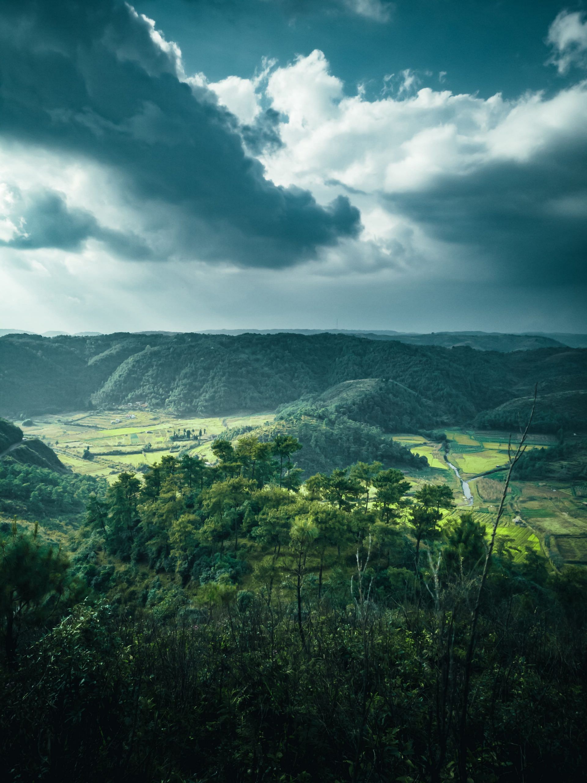 blog-images