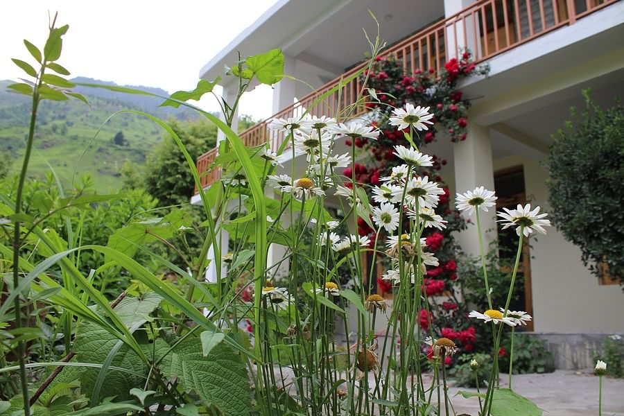 best-homestays-in-himachal