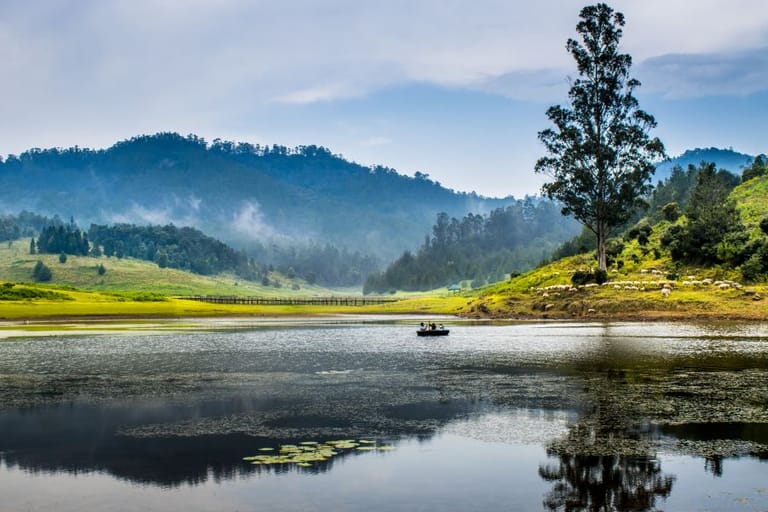 how-to-plan-a-perfect-bangalore-to-kodaikanal-trip