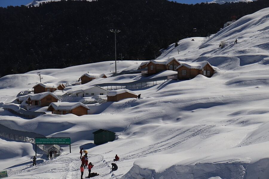 blog-images