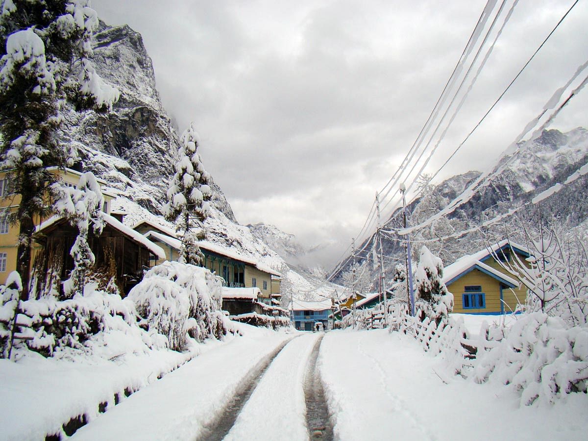 blog-images