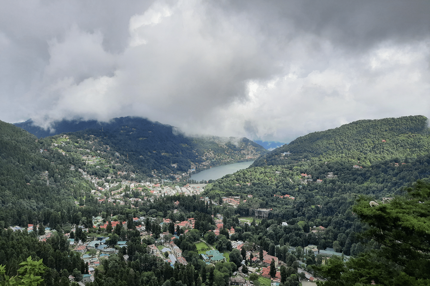 blog-images