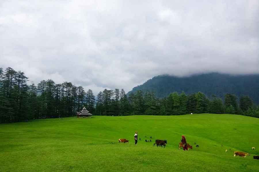blog-images
