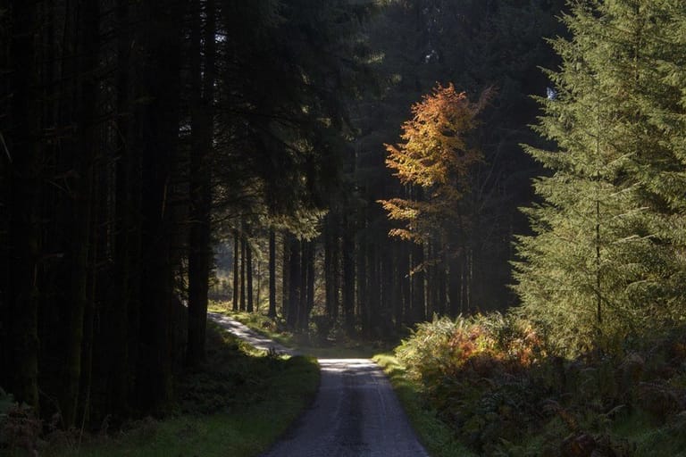 haunted-places-in-bangalore