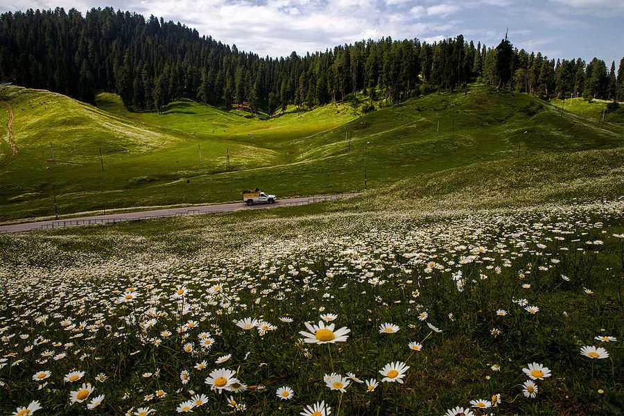 blog-images