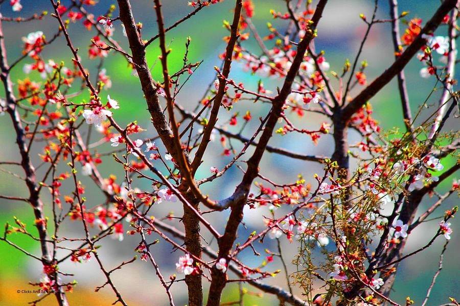 blog-images