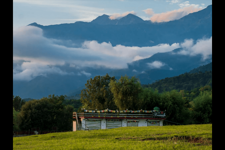 blog-images