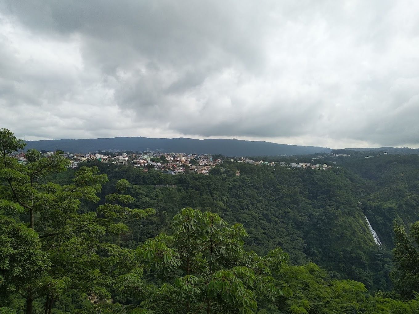 blog-images