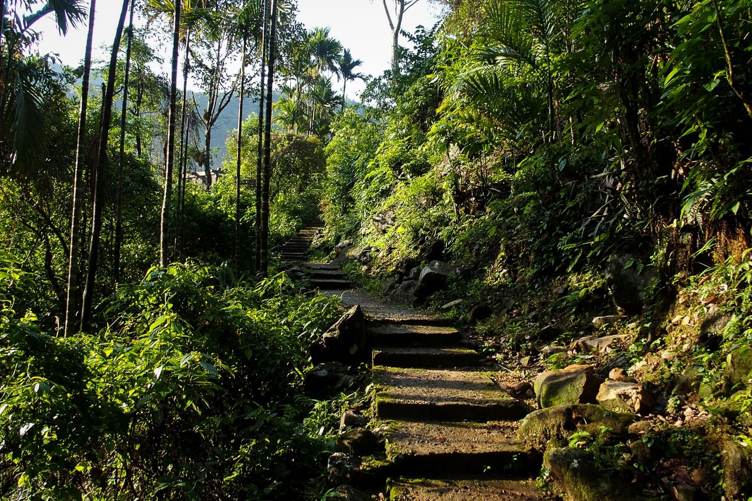 national-park-of-meghalaya