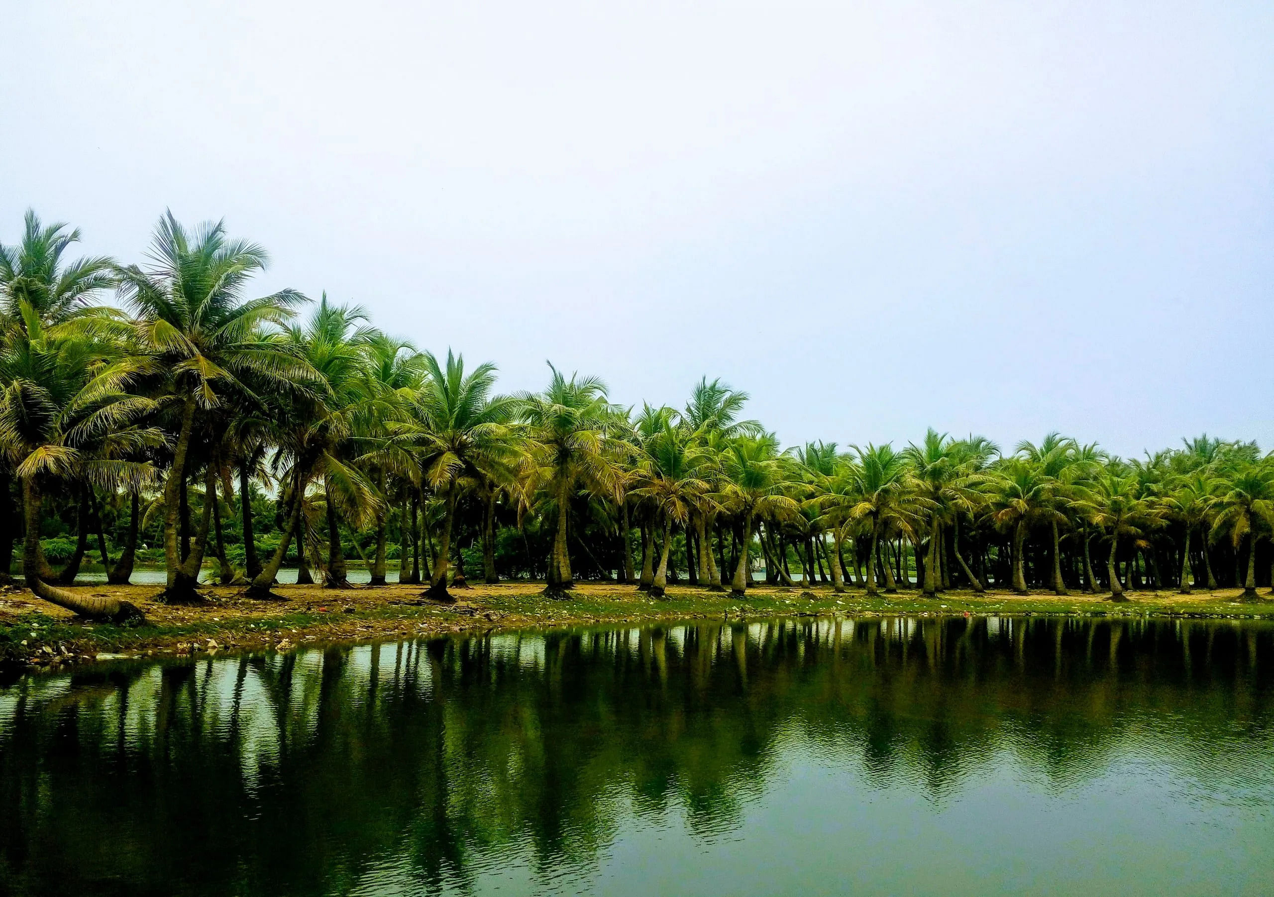 blog-images