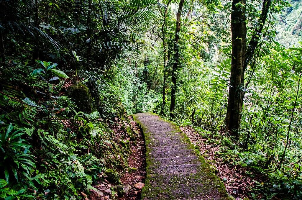 best-tourist-places-to-visit-in-meghalaya