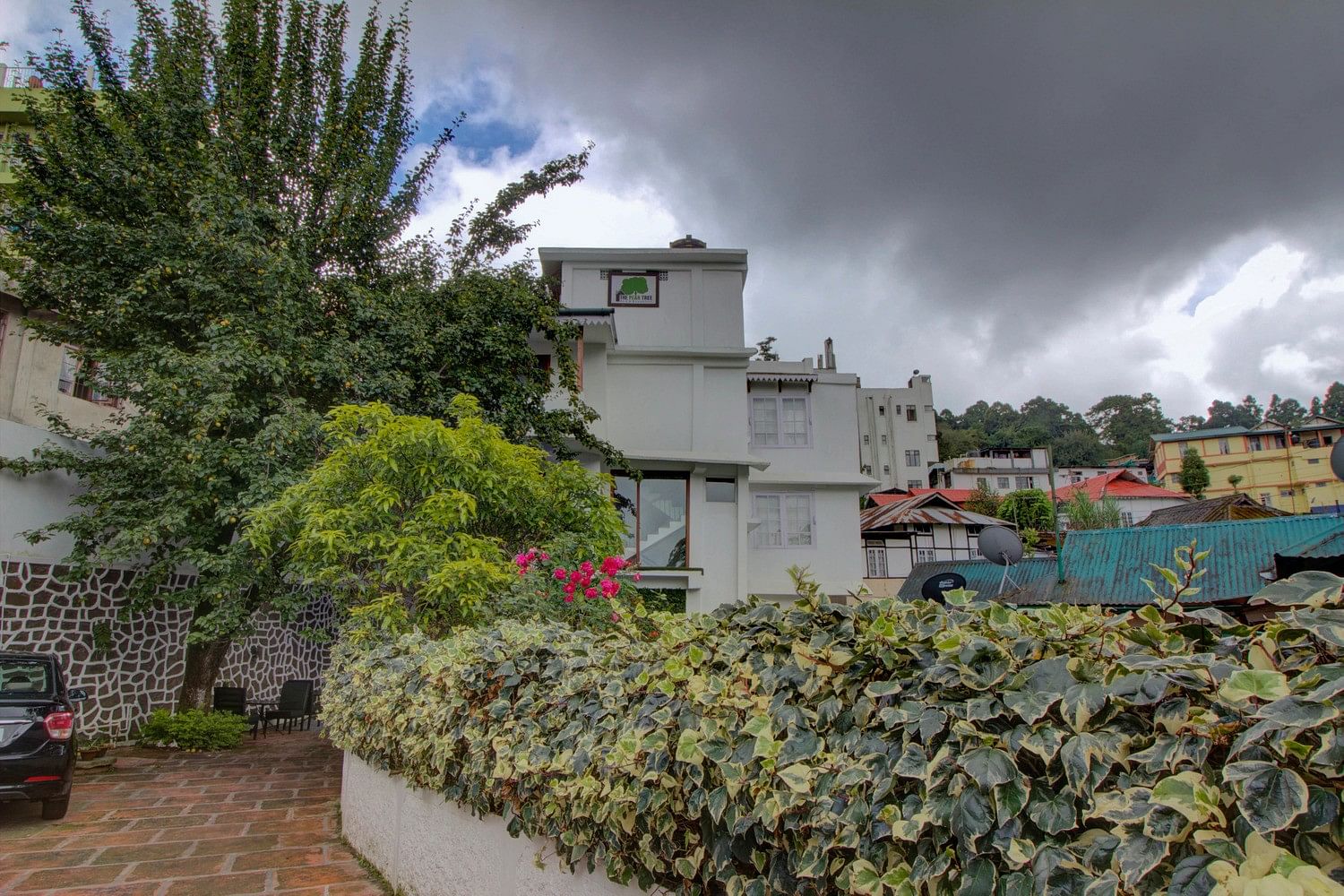 blog-images