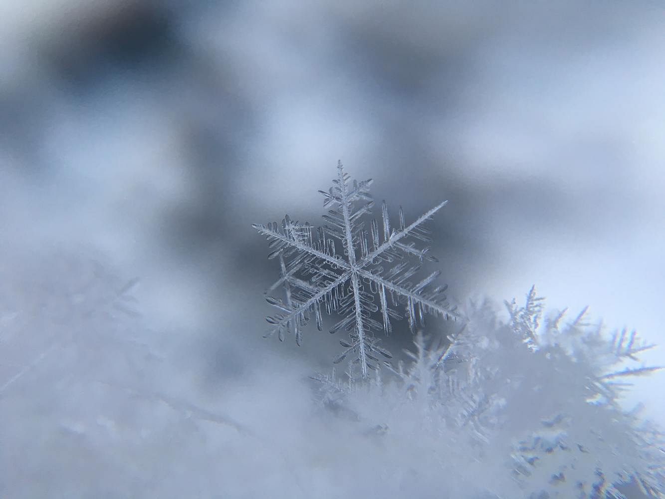 blog-images