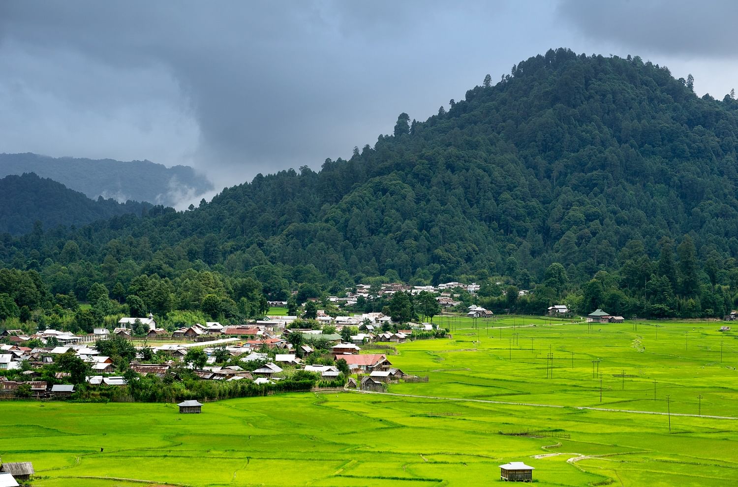 blog-images