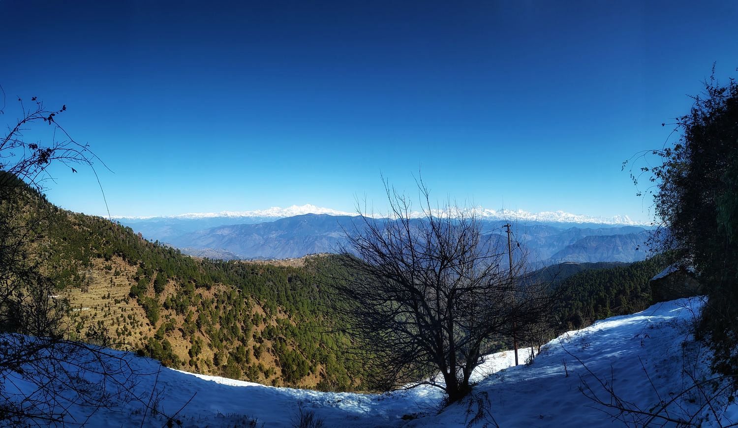 blog-images
