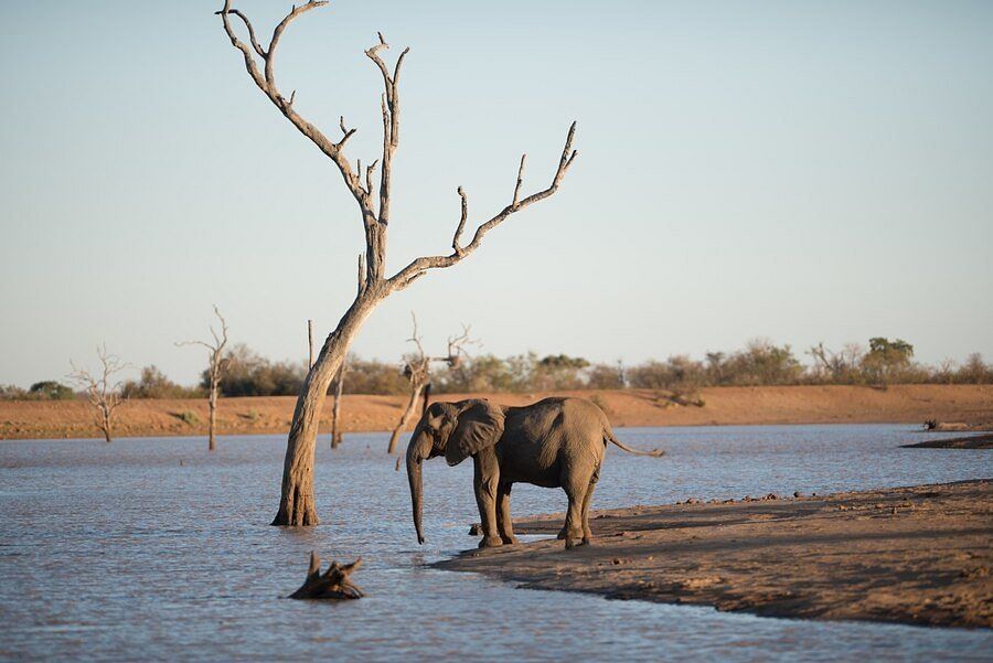 rajasthan-wildlife-reserves