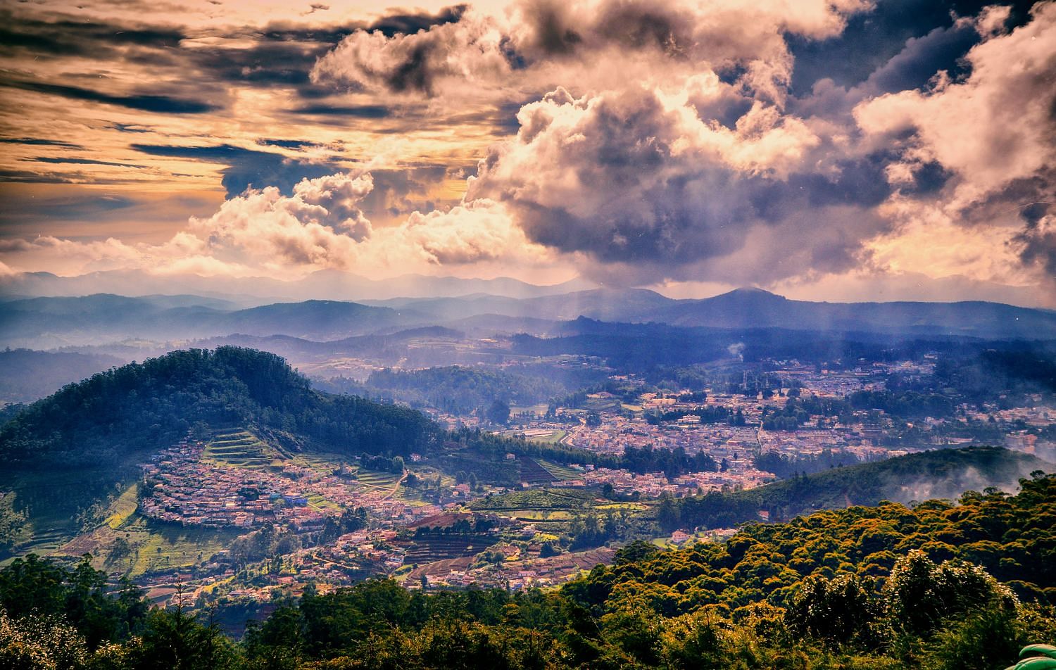 blog-images