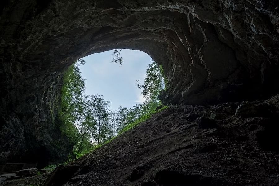 In a Cave With No Human Contact