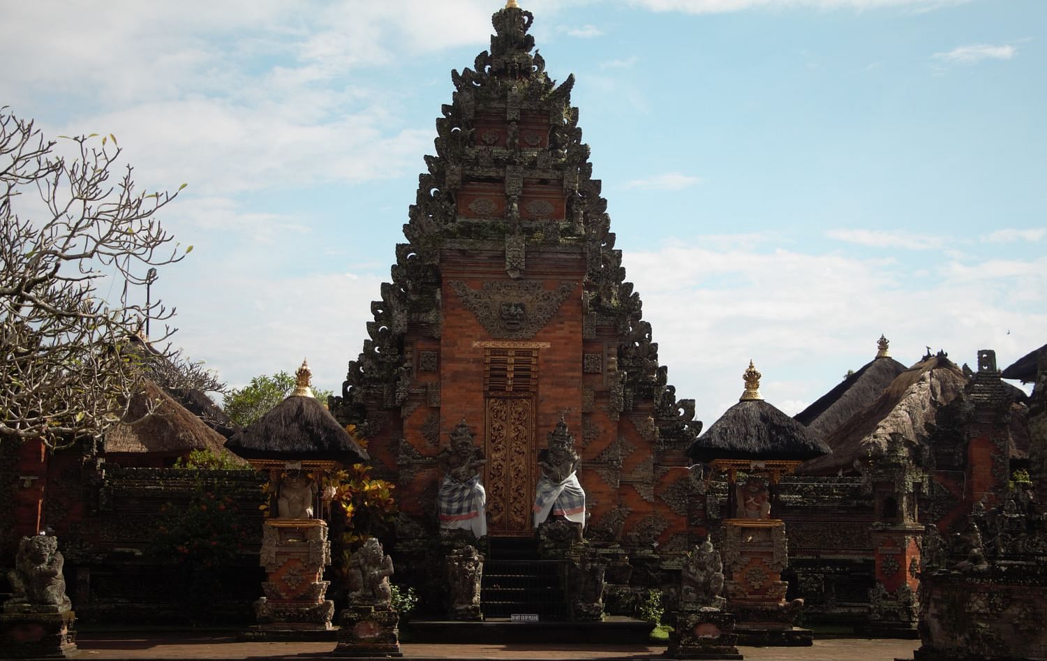 blog-images