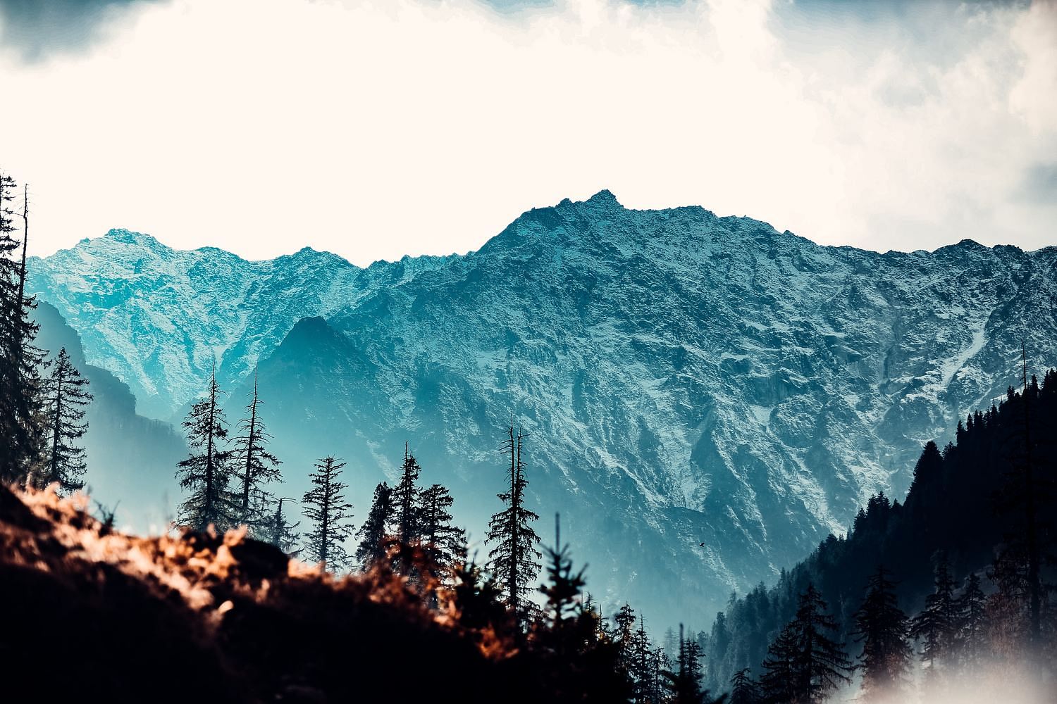 blog-images