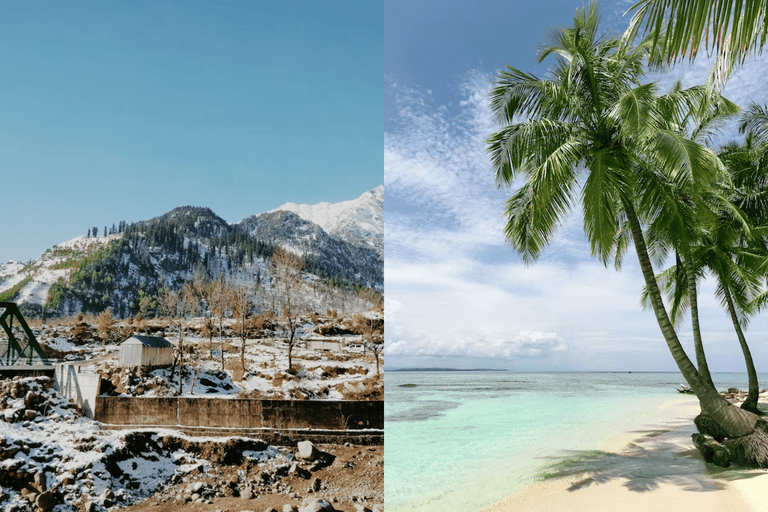 north-india-or-south-india