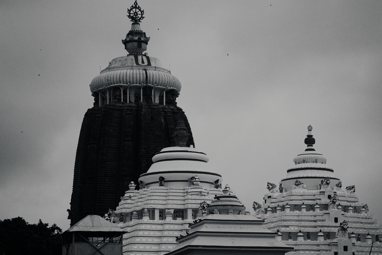 blog-images