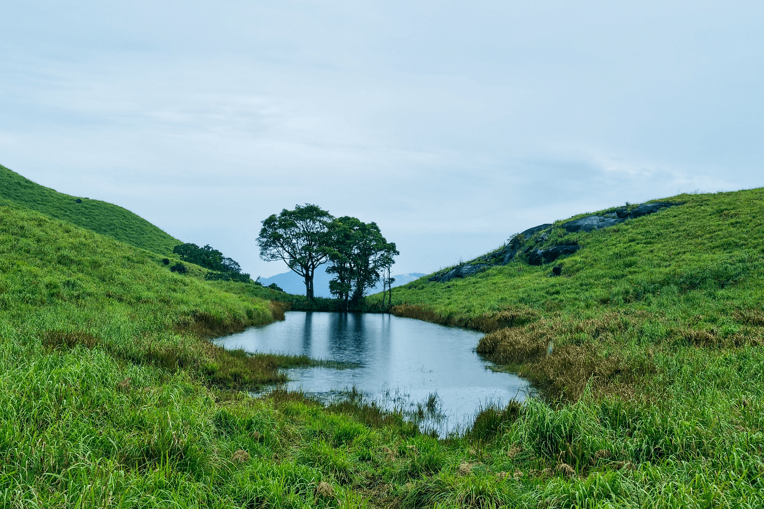 blog-images