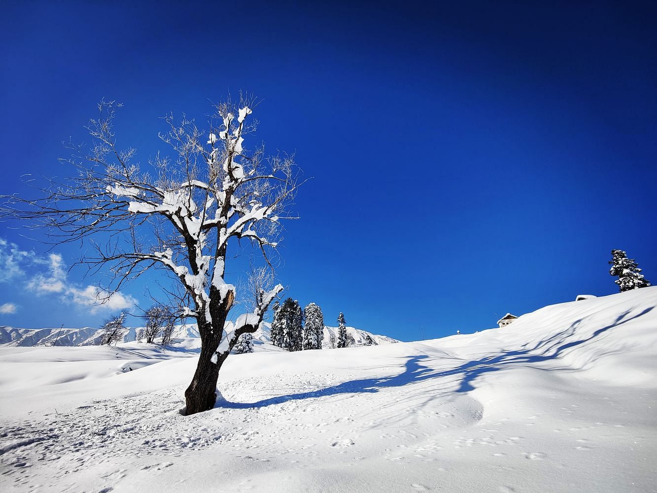 blog-images