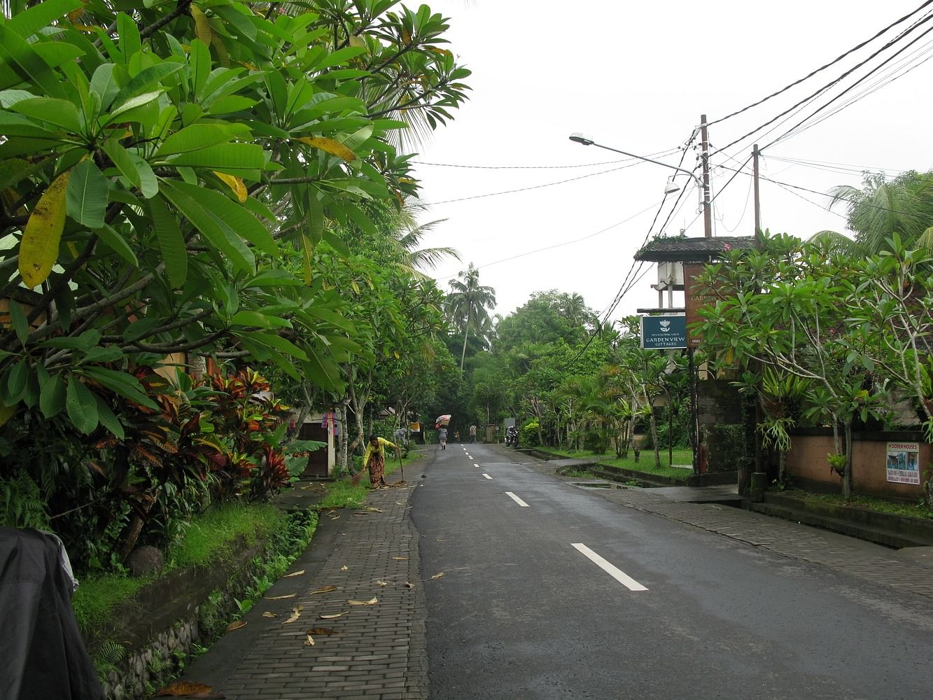 blog-images